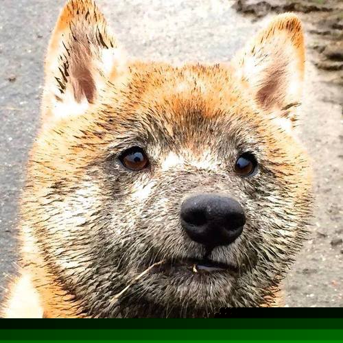 开云官方-攀岩冬季挑战赛，冰雪中的勇者之争，攀岩 决赛