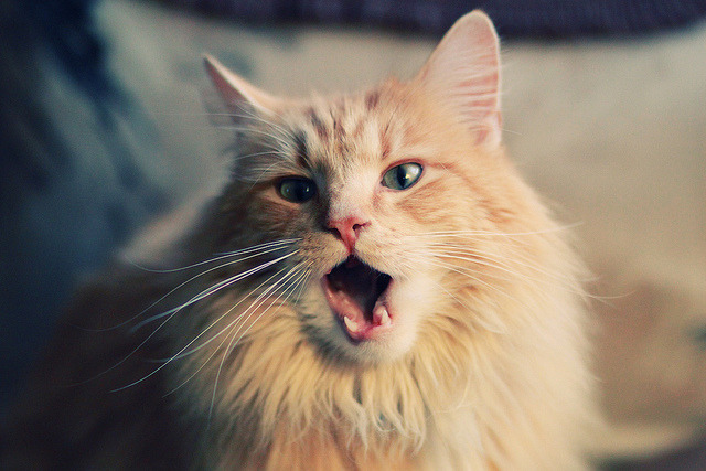 kaiyun登录入口-数字化青训评估体系在全国范围内逐步落地，助力精准培养，全国青少年数字化